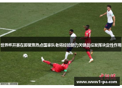 世界杯开赛在即聚焦热点国家队老将经验助力关键战役发挥决定性作用
